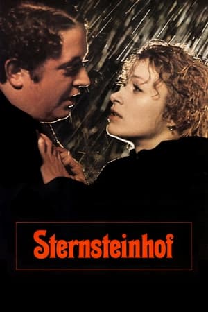 Poster Der Sternsteinhof 1976