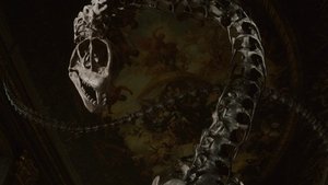 Images posters