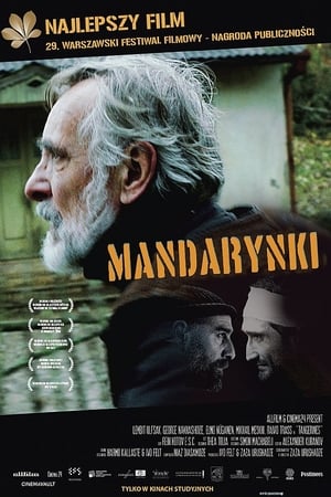 Poster Mandarynki 2013