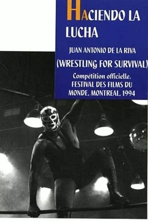 Poster Haciendo la Lucha 1993