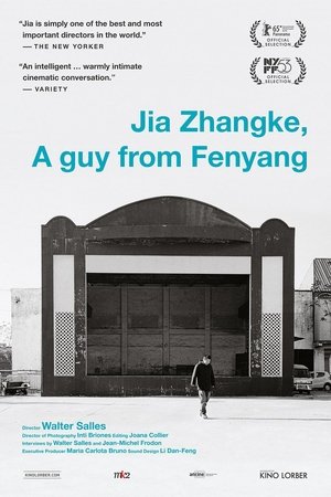 Jia Zhangke, A Guy from Fenyang (2014) Jia Zhangke, A Guy from Fenyang (2014)