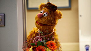 Los Muppets (TV Serie) Temporada 1 Capitulo 4