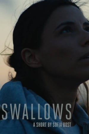 Swallows poster