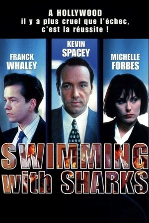 Image Swimming with sharks