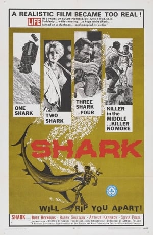 Poster Shark 1969