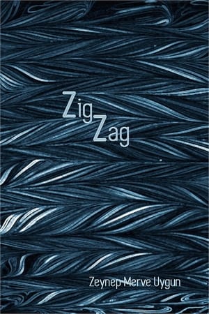 Image ZigZag