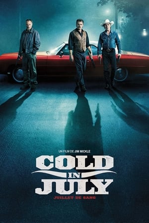 Poster Cold in July 2014