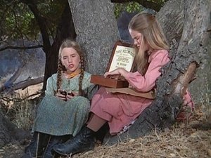 Little House on the Prairie The Gift