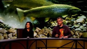 QI: Season14 – Episode8