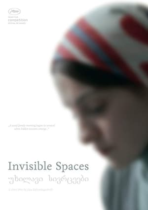 Poster Invisible Spaces 2014