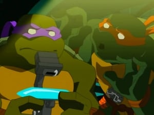 Teenage Mutant Ninja Turtles: 1×13