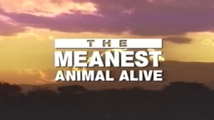 Time Life Animal Oddities: The Meanest Animal Alive film complet