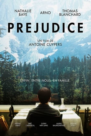 Poster Préjudice 2015