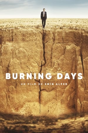 Poster Burning Days 2022