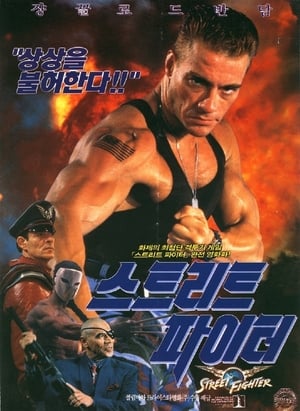 Poster 스트리트 파이터 1994