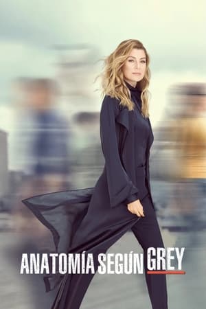 poster Grey's Anatomy - Season 17