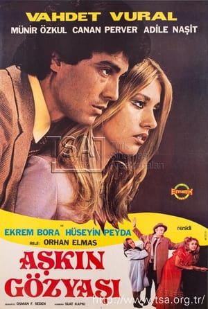 Poster Aşkın Gözyaşı (1979)