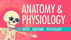 Crash Course Anatomy & Physiology Introduction to Anatomy & Physiology