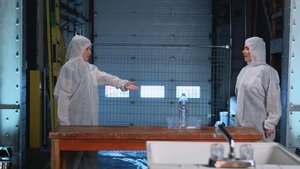 Cochon dingue: 5×48