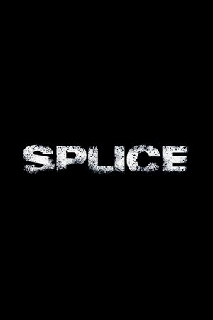 Image Splice