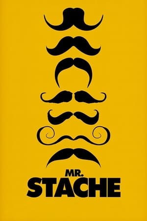 Poster Mr. Stache 2011