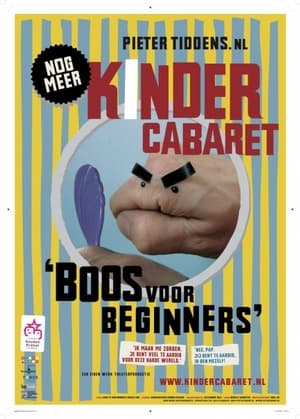 Poster Pieter Tiddens: Boos voor Beginners (2007)