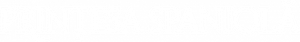 A Princesa Espanhola — Logos 4