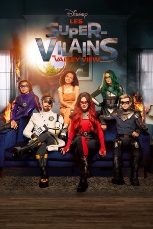 Les Super-Vilains de Valley View movie poster