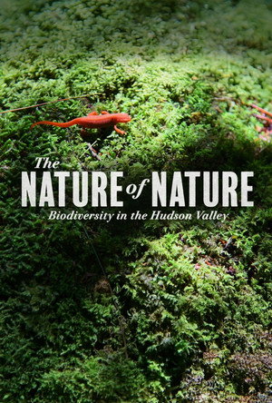 The Nature of Nature: Biodiversity in the Hudson Valley (2025)