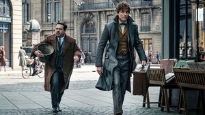 Fantastic Beasts and Where to Find Them (Animales fantásticos y dónde encontrarlos)