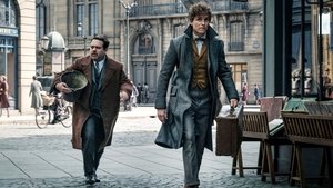 Fantastic Beasts and Where to Find Them (2016)