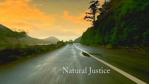 Single-Handed Natural Justice (1)