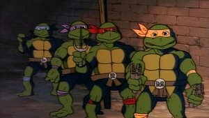 As Tartarugas Ninjas: 1×1
