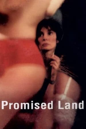 Poster Promised Land (La tierra prometida) 2004