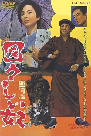 Poster 図々しい奴 1964