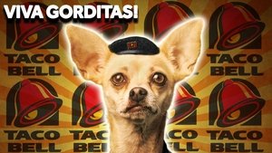 What Happened To The Taco Bell Chihuahua?