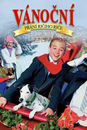 Poster Sám doma a bohatý: Vánoční přání 1998