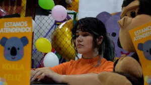 Pássaros da Meia noite