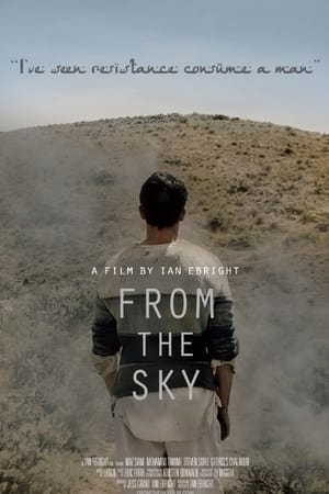 Poster From the Sky (2014)