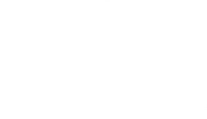 The Wonderfully Weird World of Gumball