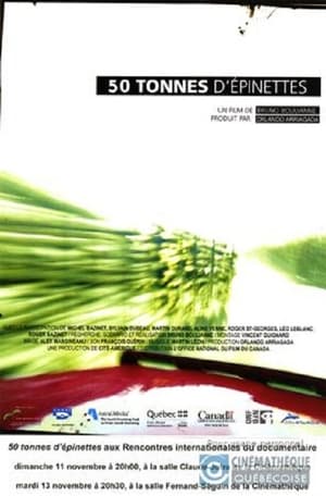 50 tonnes d'épinettes