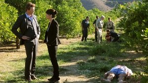 The Mentalist: Stagione 3 – Episodio 9