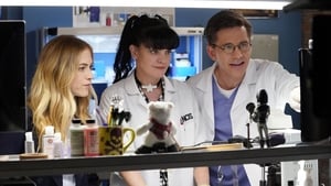 NCIS – Unità anticrimine 15 – Episodio 21