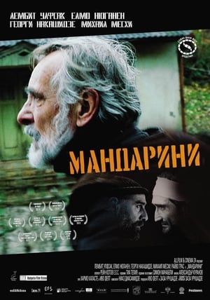 Мандарини 2013