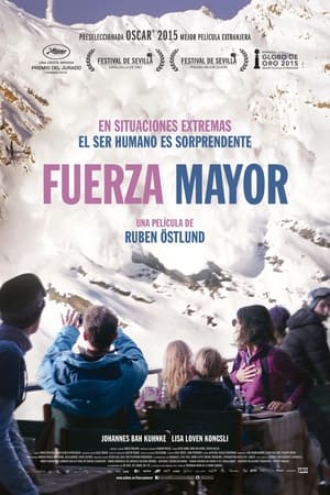 Poster Fuerza mayor 2014