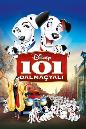 Poster 101 Dalmaçyalı 1961