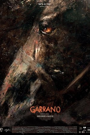 Garrano 2024