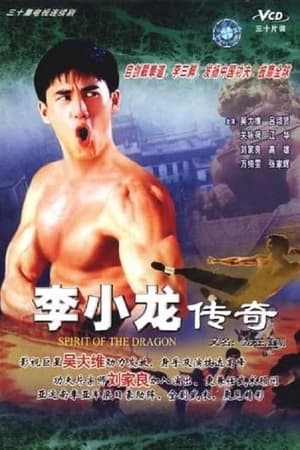 Poster Story Of Bruce Lee 1992