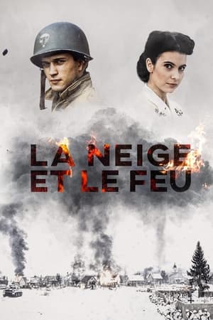 Poster La Neige et le Feu 1991