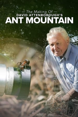 Poster The Making of David Attenborough's Ant Mountain 2018